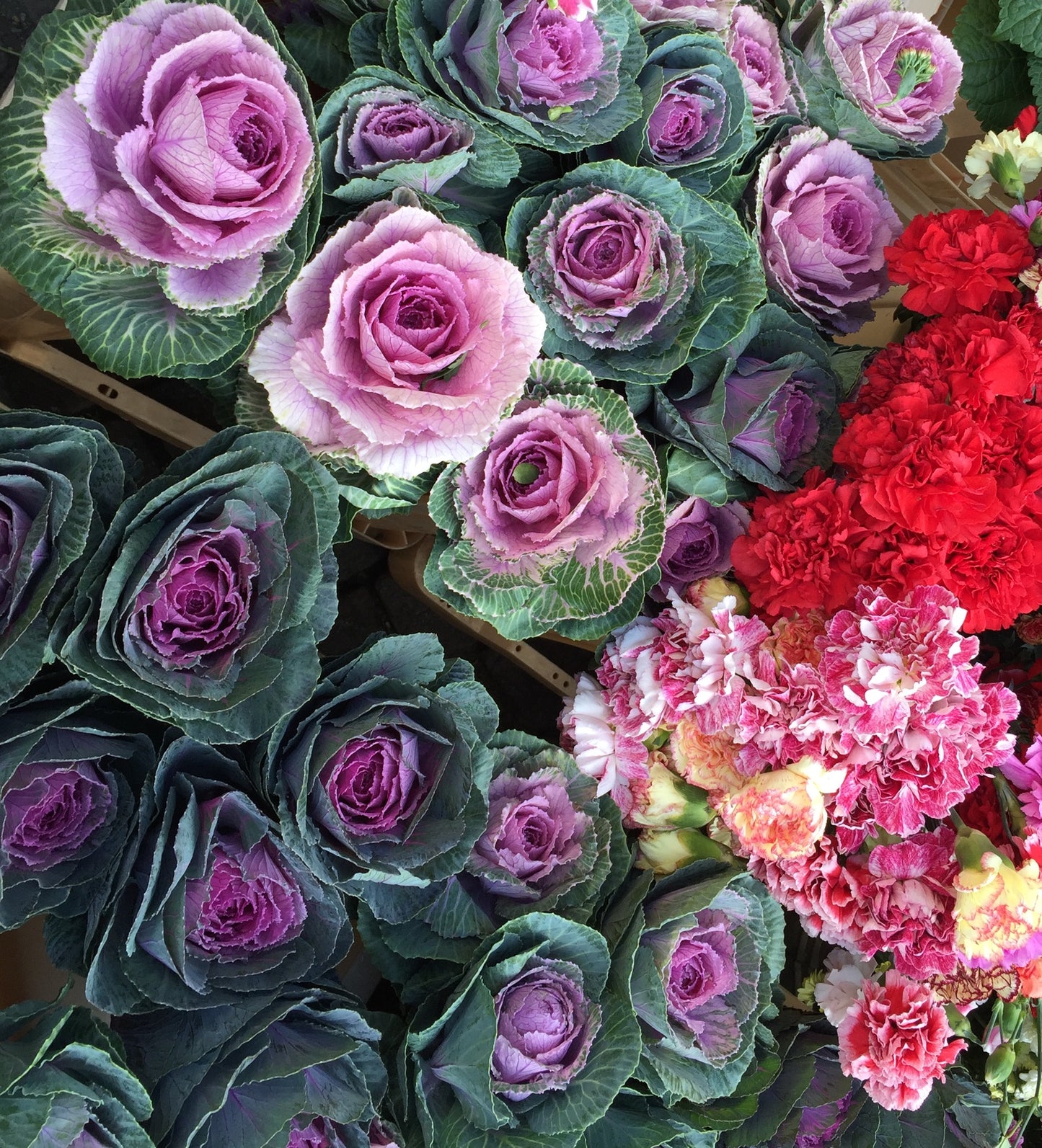 Floral Harvest